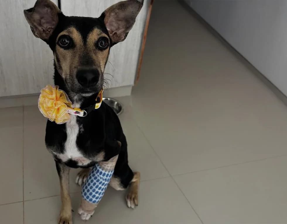 FutbolTech humanitarian and social support program