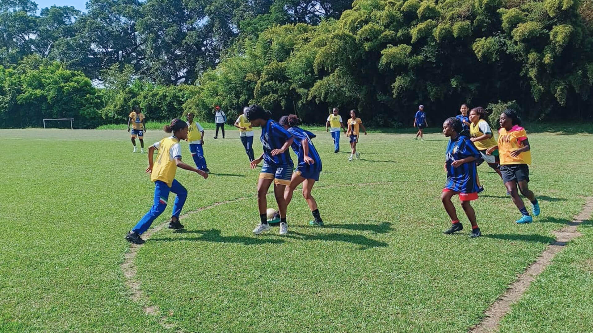 Florida Guerreras banner